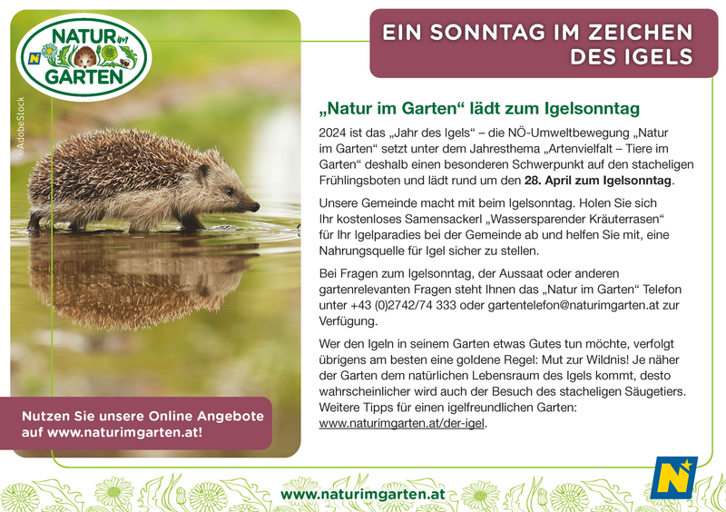 Ein Sonntag im Zeichen des Igels „Natur im Garten“ lädt zum